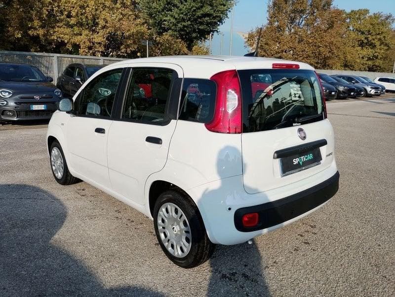 FIAT Pandina Pandina 1.0 firefly hybrid Icon s&s 65cv