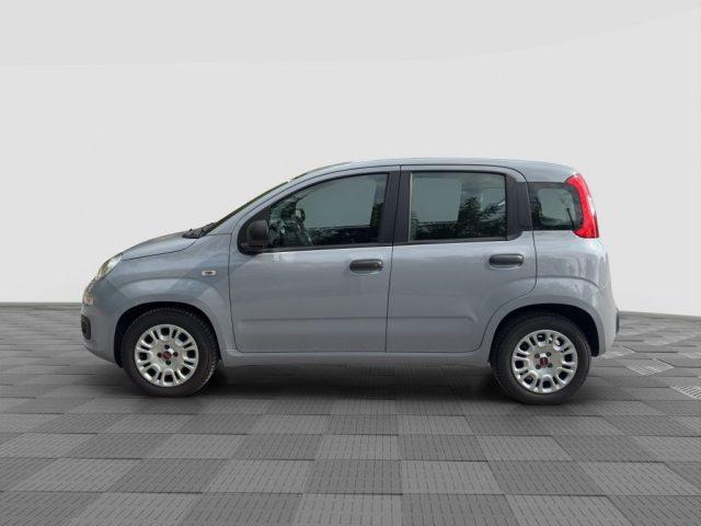 FIAT Panda Panda 1.0 FireFly Hybrid