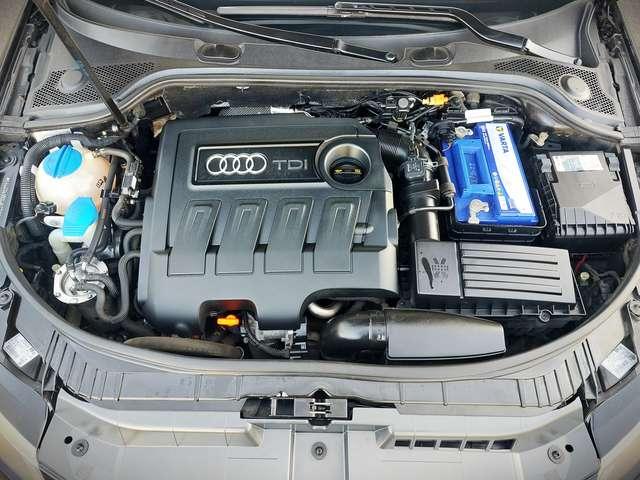 Audi A3 A3 Sportback 1.6 tdi Ambition 90cv NEOPATENTATI OK