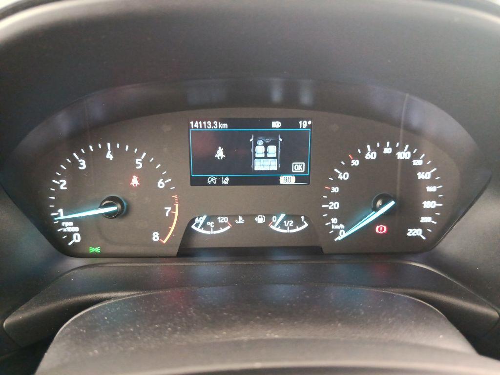 FORD Fiesta 7ª serie - Fiesta 1.0 Ecoboost Hybrid 125 CV 5 porte