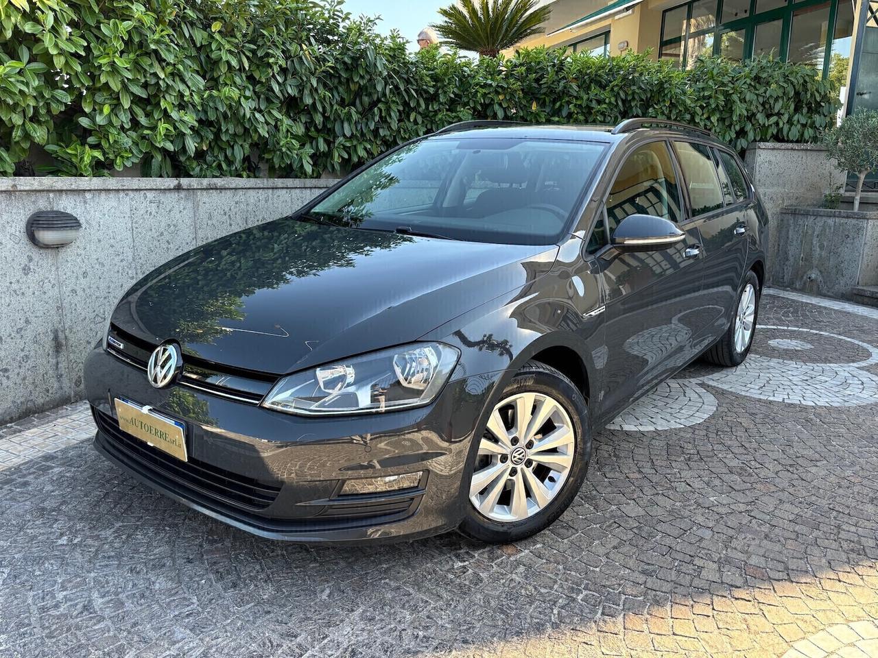 Volkswagen Golf ws 1.4 TGI BlueMotion