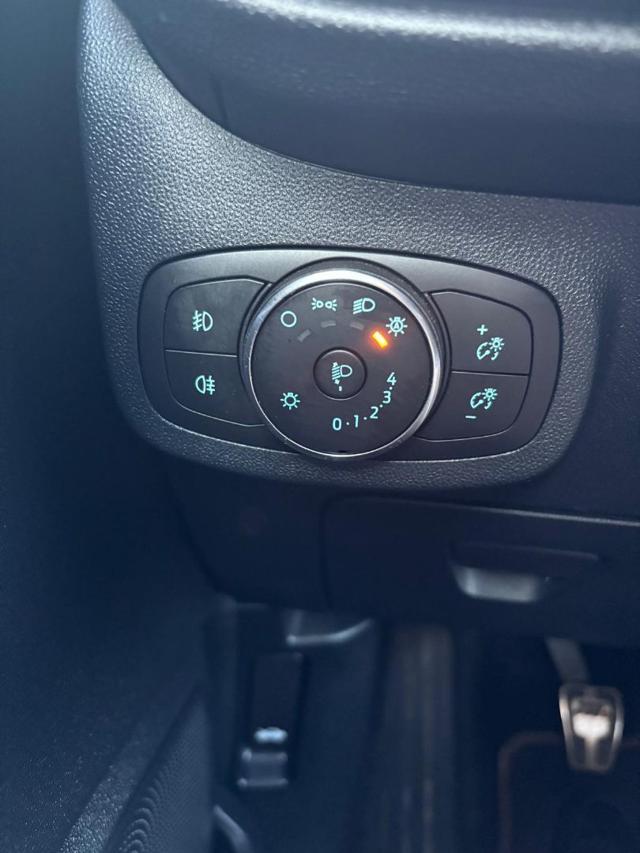 FORD Fiesta 1.0 Ecoboost Hybrid 125 CV 5 porte ST-Line