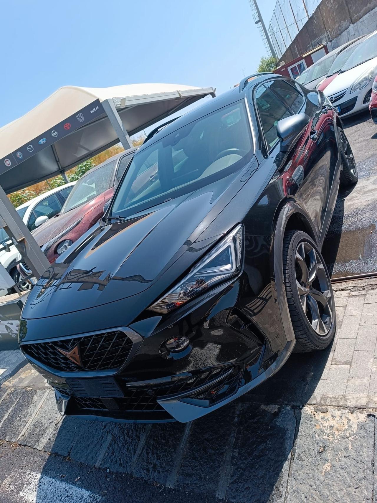 Cupra Formentor 2.0 TSI 4Drive DSG