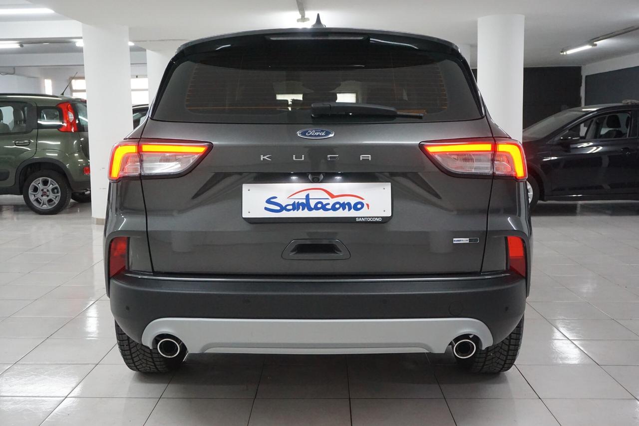 Ford Kuga 2.0 EcoBlue Hybrid 150 CV 2WD Titanium Business