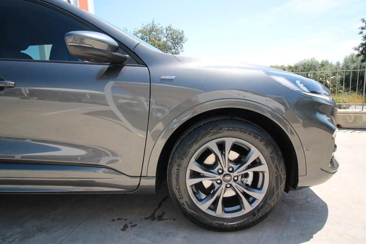 Ford Kuga 1.5 EcoBlue 120 CV auto ST-Line |2022