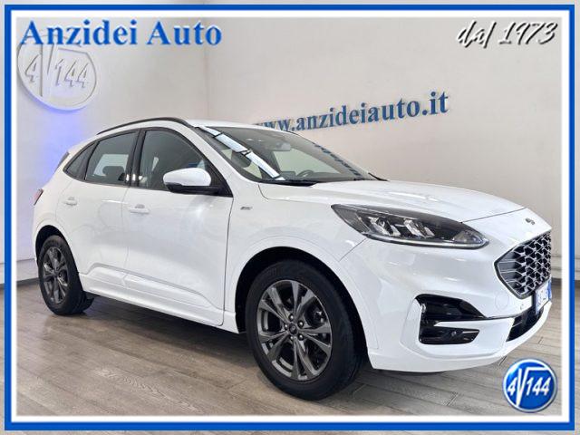 FORD Kuga 1.5 EcoBlue 120 CV aut. 2WD ST-Line