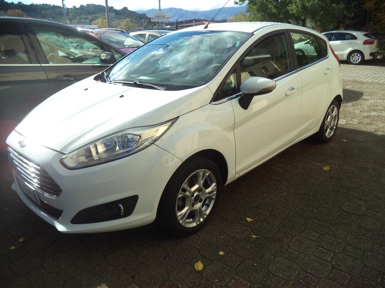 Ford Fiesta 1.5 TDCi 75CV 5 porte Black & White Edition