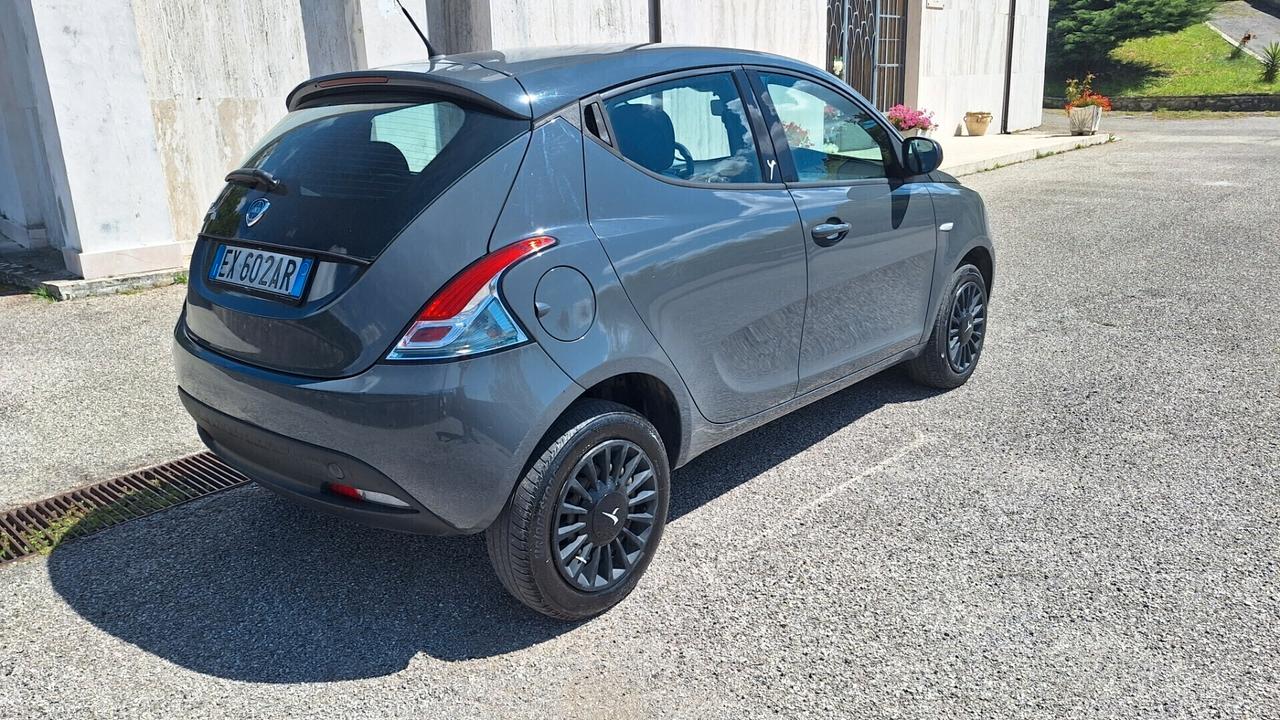 Lancia Ypsilon 0.9 TwinAir 85 CV 5 porte Metano Ecochic Elefantino