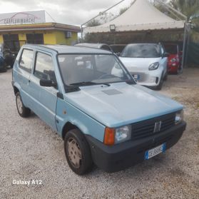 Fiat Panda 1100 i.e. cat College