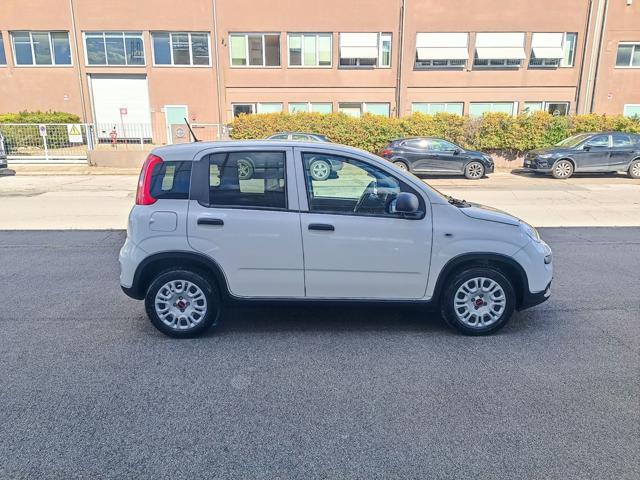 FIAT Panda 1.0 S&S Hybrid Van 2 posti