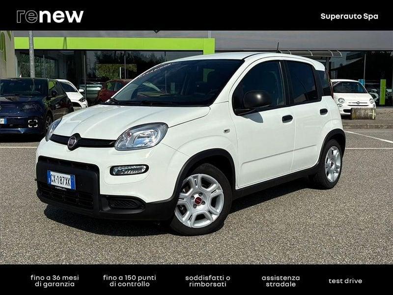FIAT Panda Pandina 1.0 FireFly Hybrid 70cv S&S 1.0 FireFly Hybrid 70cv S&S