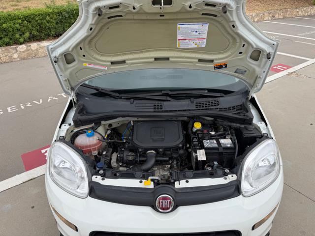 FIAT Panda 1.0 HYBRID CITY LIFE+CLIMATRONIC+SCHERMO+5POSTI