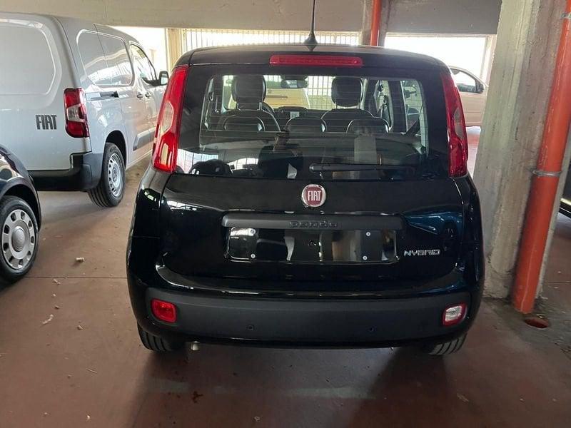 FIAT Panda Panda 1.0 FireFly S&S Hybrid Pop