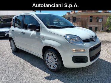 FIAT New Panda 1000 HYBRID 70 CV PACK CITY STEREO USB ITALIA