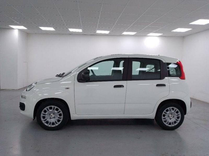 FIAT Pandina 1.0 firefly hybrid Pop s&s 70cv