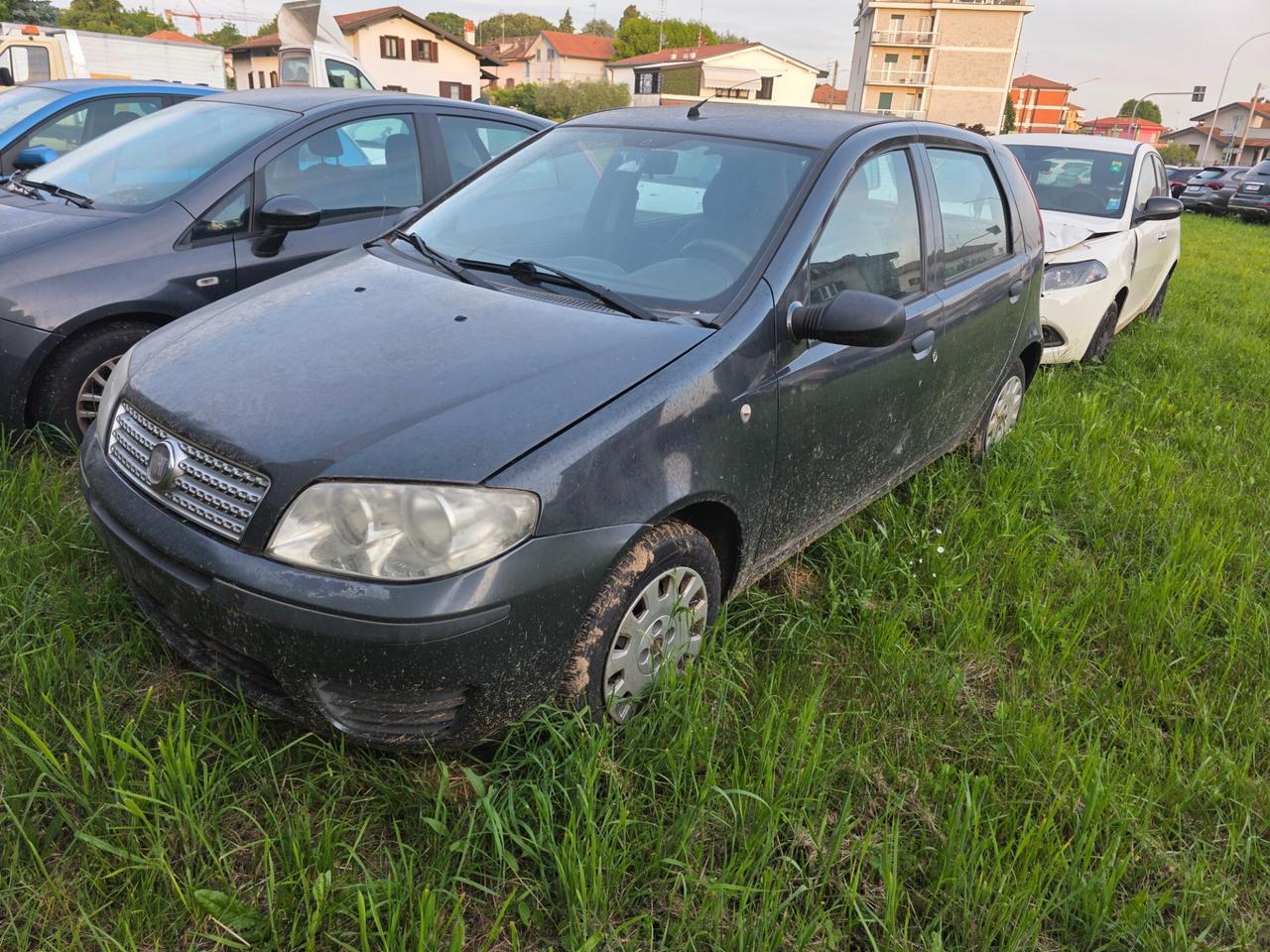 Fiat Punto Evo 1.3 Mjt 75 CV 5 porte Active