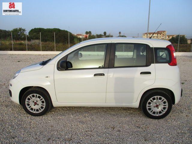 FIAT Panda 1.2 8v Easy S&S 69cv-2019 KM60000