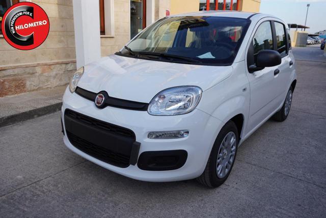 FIAT Pandina ICON
