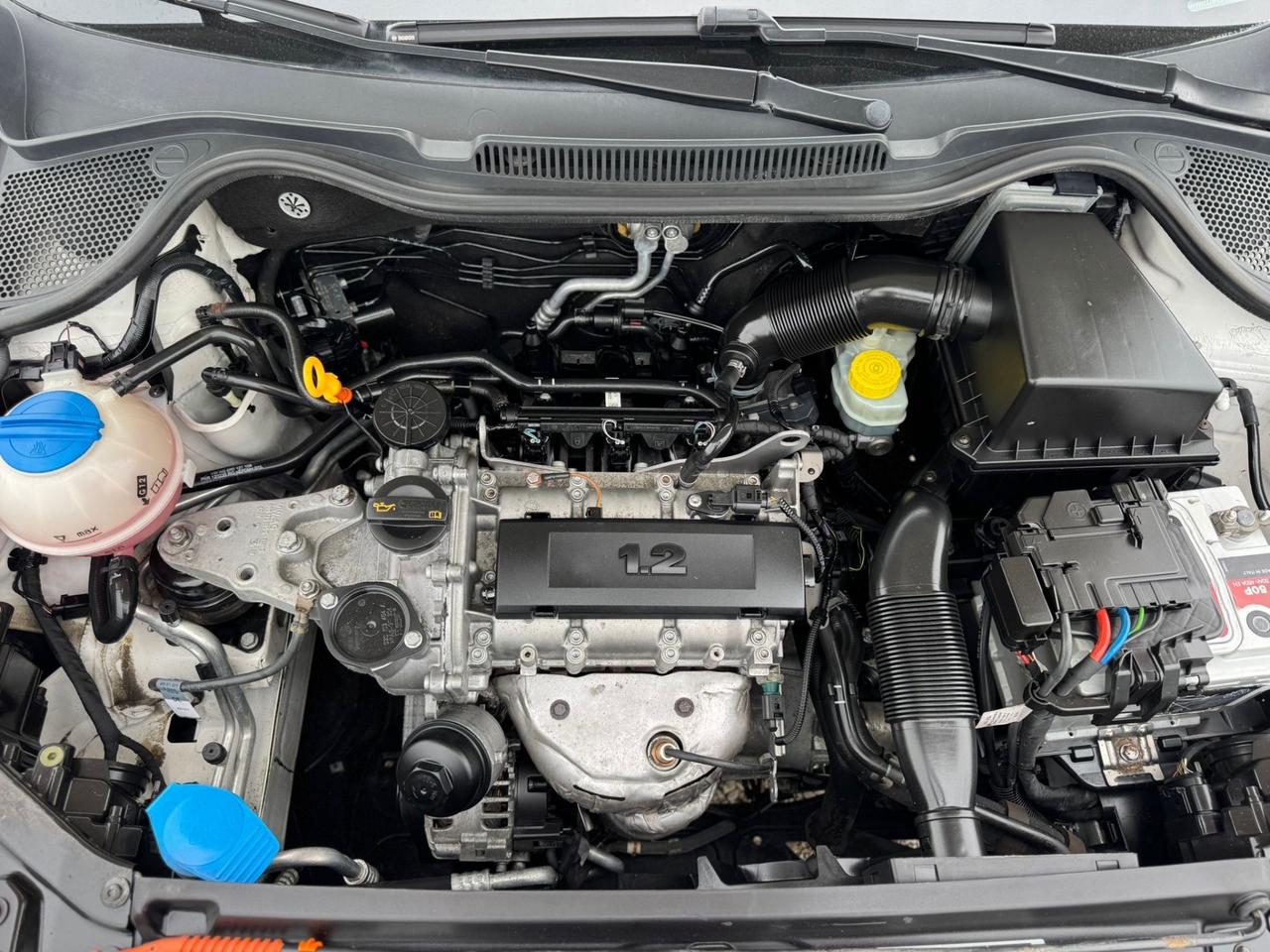 Volkswagen Polo 1.2 70 CV 5p. Comfortline NEOPATENTATI