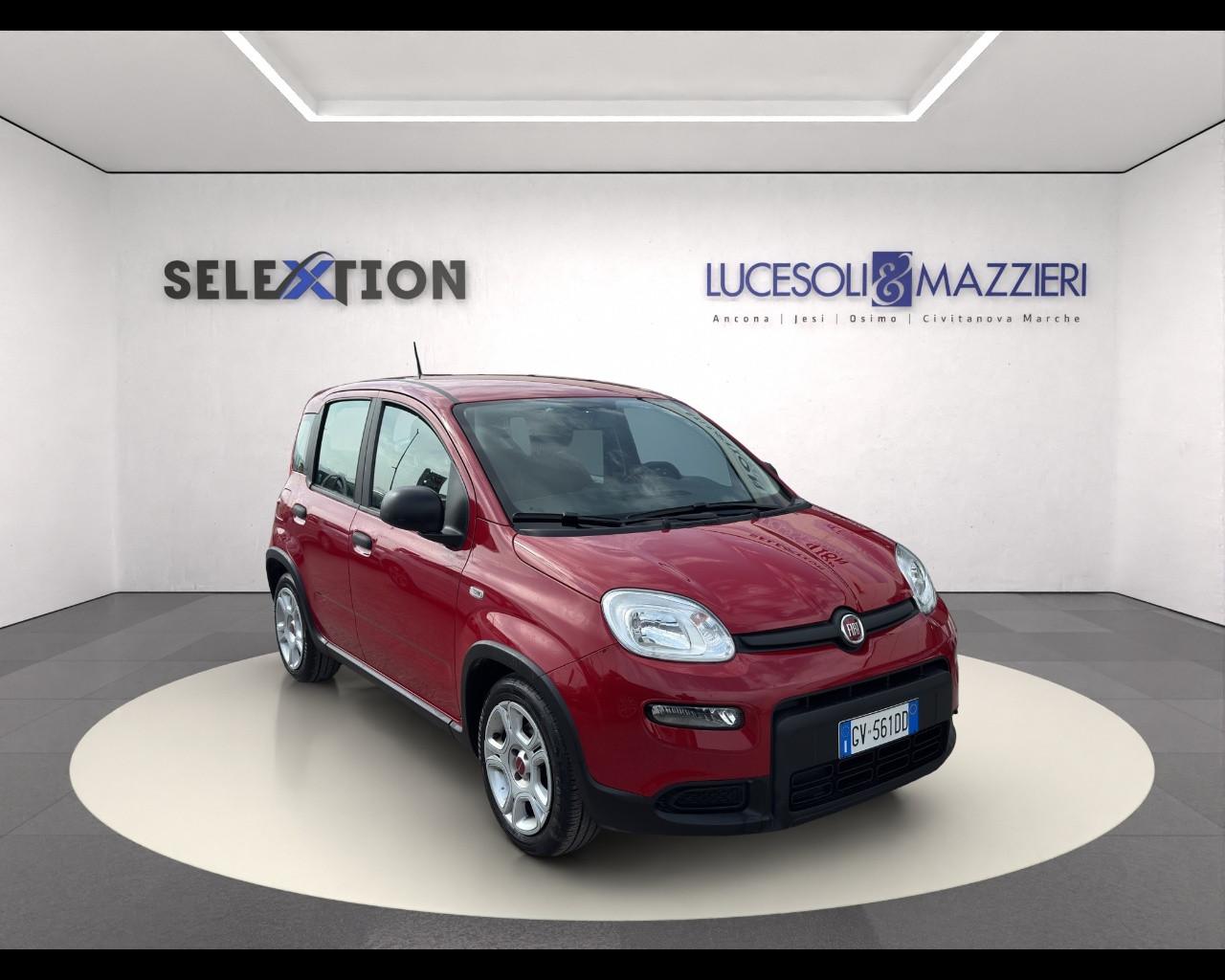 FIAT Panda My23 1.0 70cv Hybrid Panda