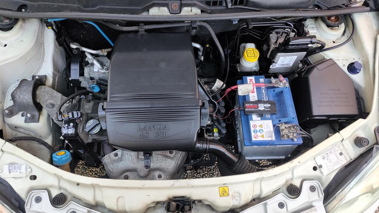 Lancia Ypsilon 1.2 8v Platino