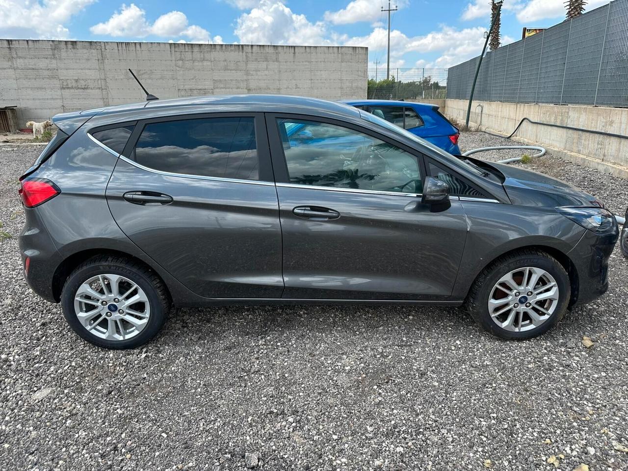 Ford Fiesta 1.0 Ecoboost Hybrid 125 CV 5 porte Titanium