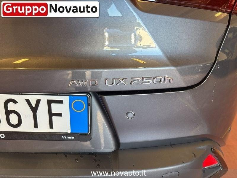 Lexus UX UX250H DESIGN 4WD