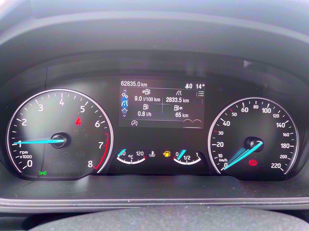 FORD EcoSport 1.0 EcoBoost 125 CV Start&Stop Active del 2021