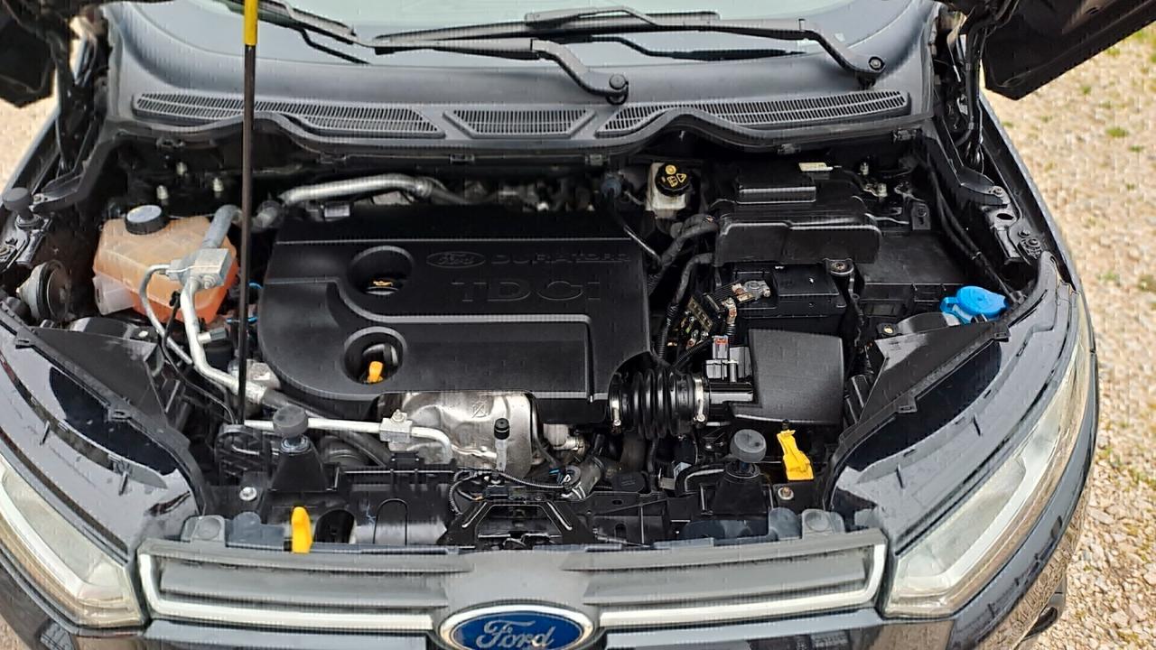 Ford EcoSport 1.5 TDCi 90 CV Plus