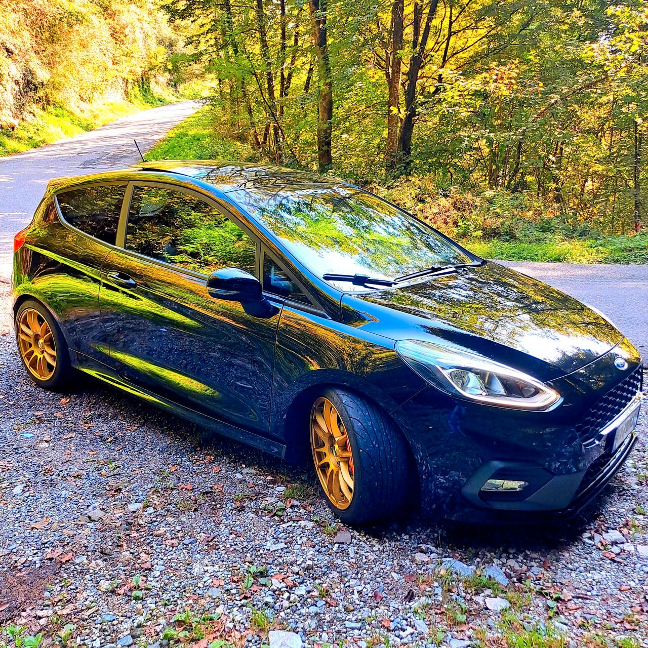 FIESTA ST200cv Performance - Tetto apribile