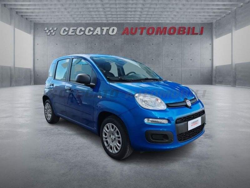 FIAT Panda Panda 1.0 70cv Hybrid Icon