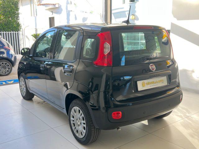 FIAT Panda 1.0 FireFly S&S Hybrid Pandina da ?149,00