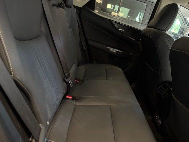 LEXUS NX 300h NX Hybrid 4WD Premium +