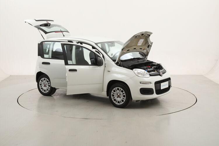 Fiat Panda Easy BR794879 1.2 Benzina 69CV