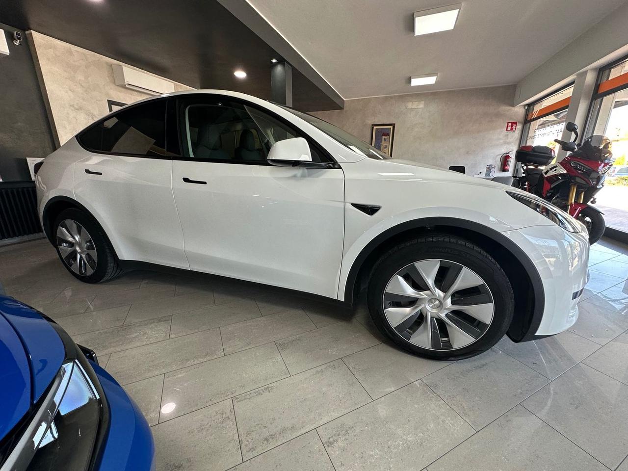 Tesla Model Y Standard Range RWD single moto #6584