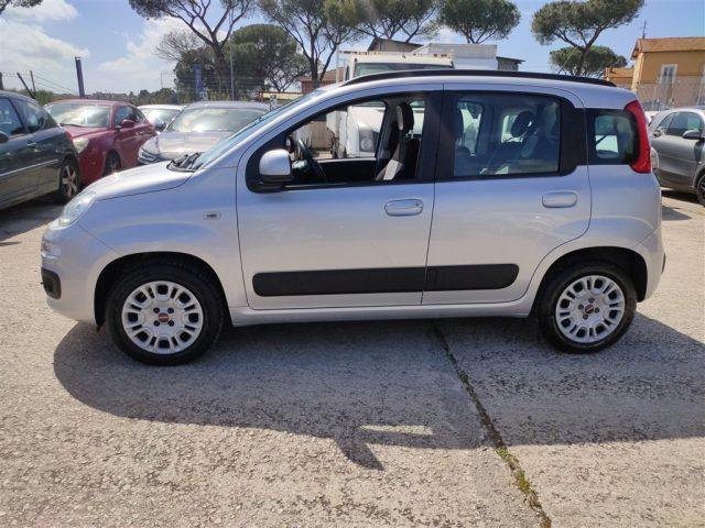 FIAT Panda 1.2 Lounge GPL OK NEOPATENT. CLIMA,FENDINEBBIA ..