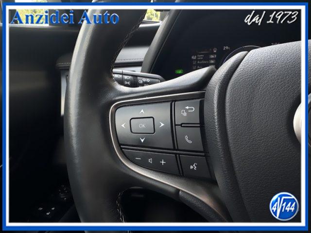 LEXUS UX 250h Hybrid Business