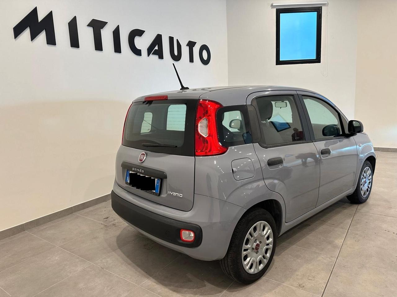 Fiat Panda 1.0 FireFly S&S Hybrid Easy - NO VINCOLO FINANZ