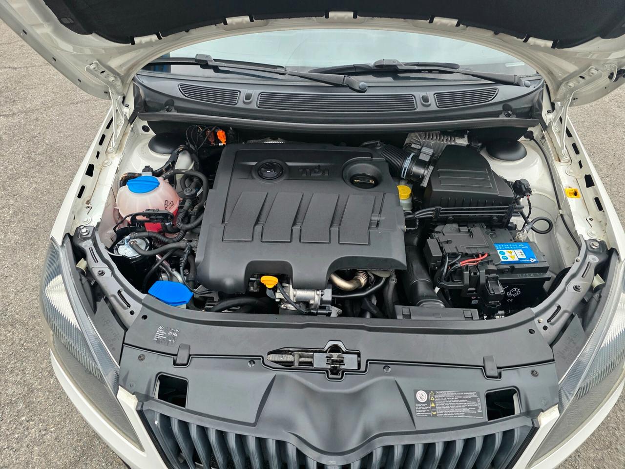 Skoda Fabia 1.6 TDI CR 75CV 5p. Monte-Carlo