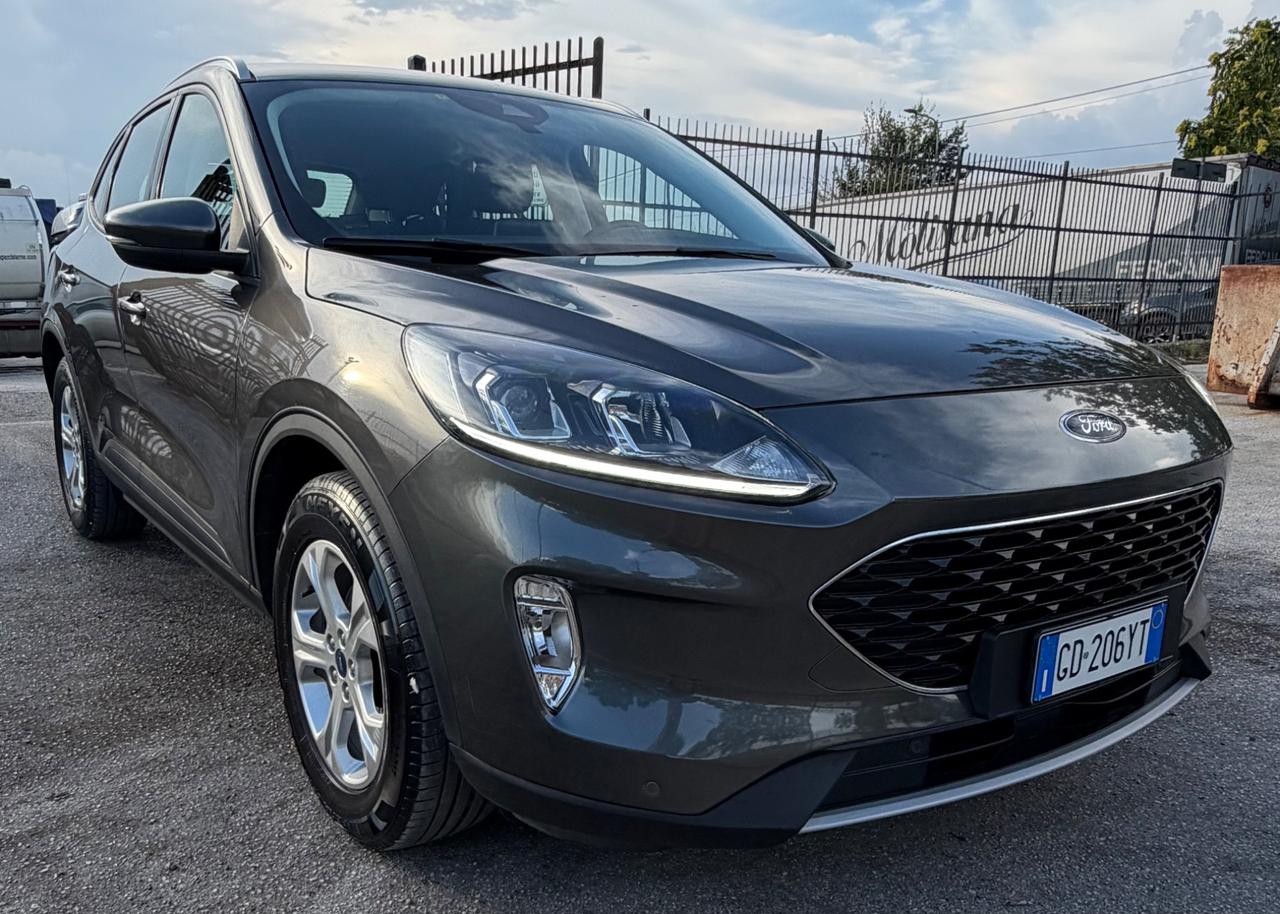 Ford Kuga 1.5 EcoBlue 120 CV 2WD Titanium