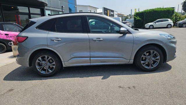 FORD Kuga 1.5 EcoBlue 120 CV aut. 2WD ST-Line X