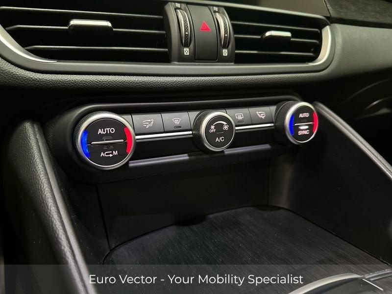 Alfa Romeo Giulia 2.2 Turbodiesel 160 CV Super