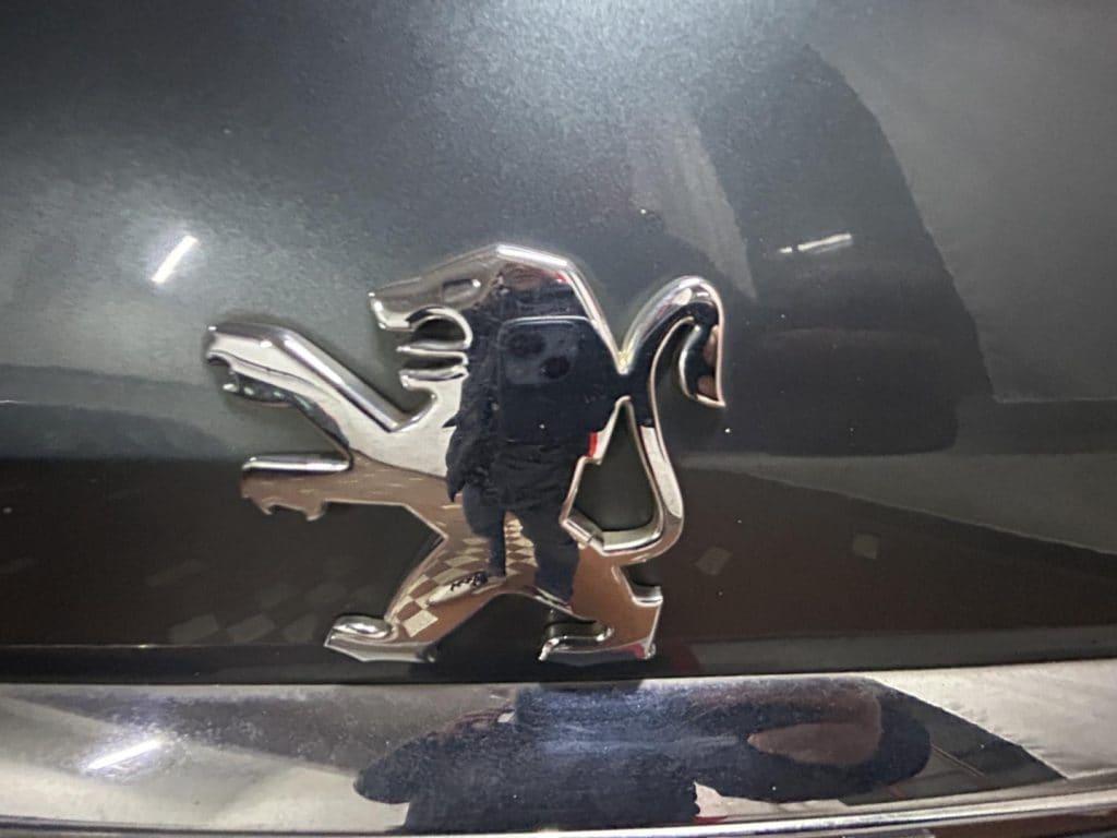 PEUGEOT 407 1ª serie 407 2.0 HDi SW SW Executive