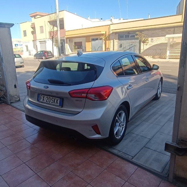 FORD Focus 1.5 EcoBlue 120 CV 5p. Business