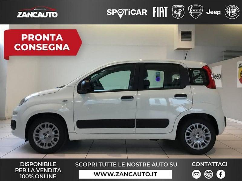 FIAT Panda Panda 1.0 FireFly S&S Hybrid Pop 65cv