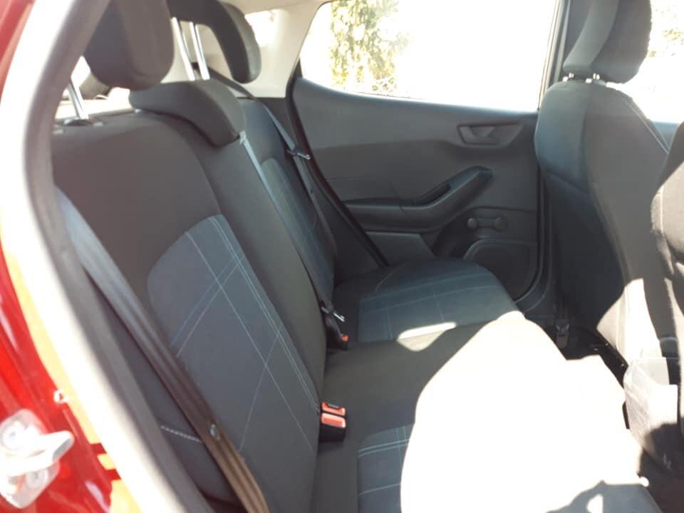 Ford Fiesta 1.5 EcoBlue 86cv 2020 km74000