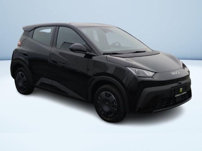 BYD Dolphin Surf Active