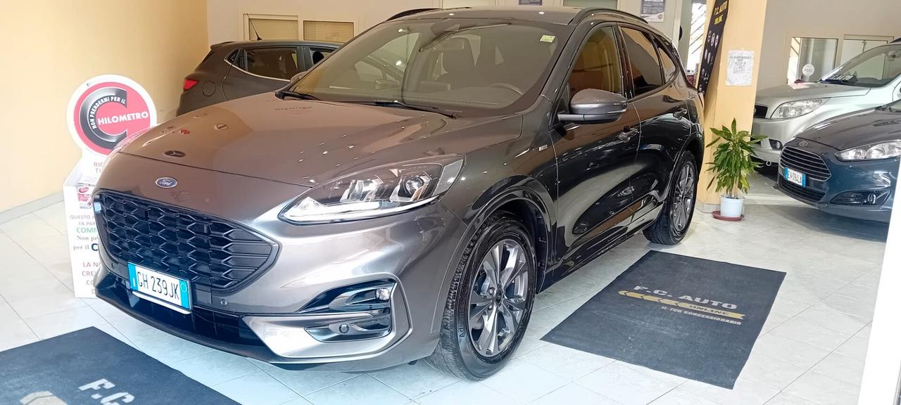 Ford Kuga 1.5 EcoBlue 120 CV aut. 2WD ST-Line