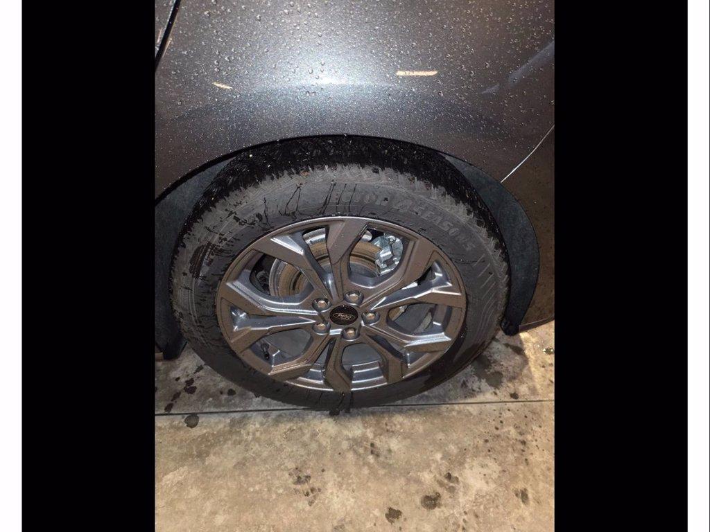 FORD Focus 1.5 ecoblue st-line 115cv auto del 2024