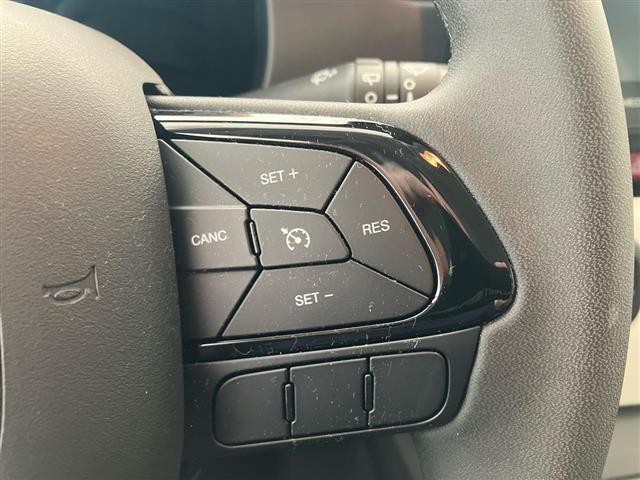 FIAT Panda Pandina Cross 1.0 FireFly Hybrid 70cv S&S